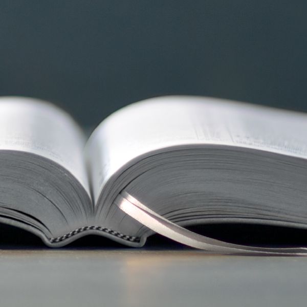 ¿Qué nos enseña la Biblia?