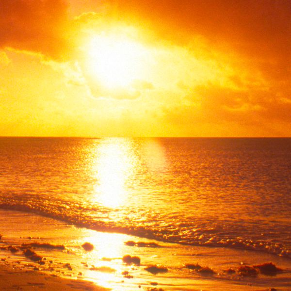 Portada del tratado ¿Le gustaría saber la verdad?