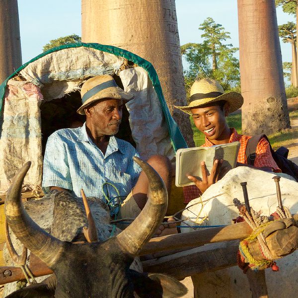 La Atalaya (edición de estudio), enero de 2016