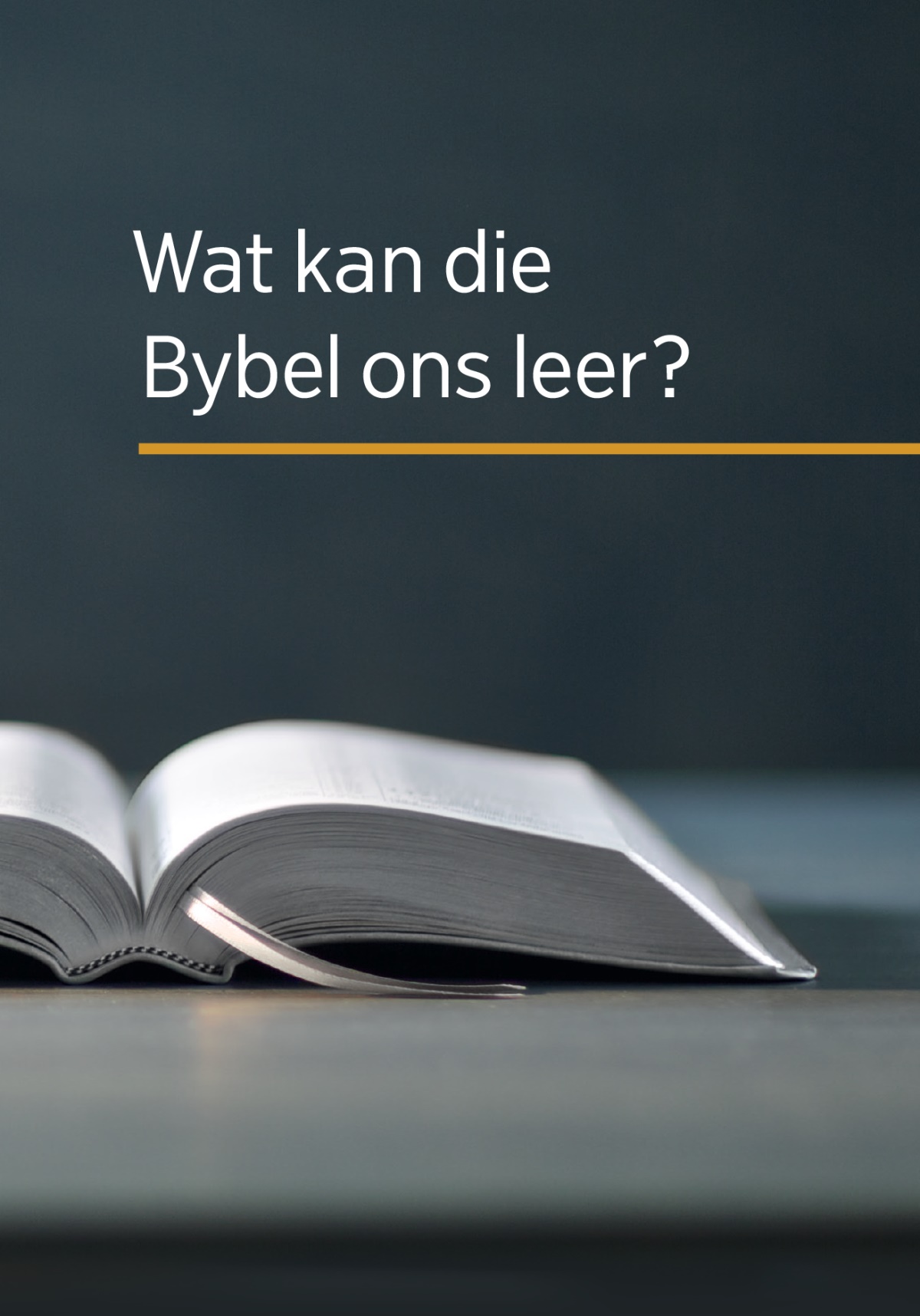 Wat kan die Bybel ons leer?