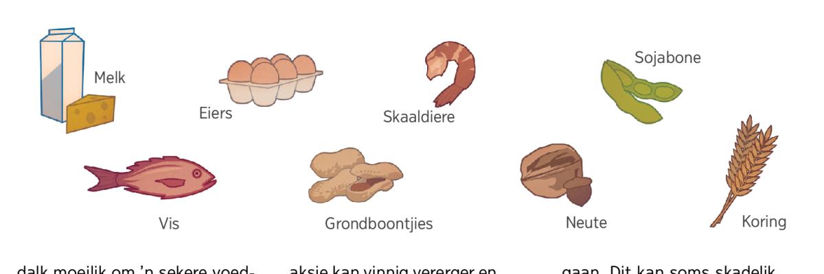 Melk, eiers, skaaldiere, sojabone, vis, grondboontjies, neute en koring