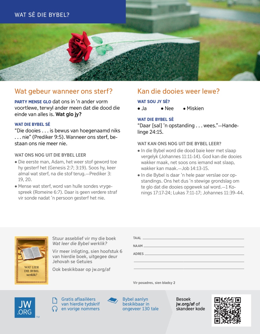 ’n Roos op ’n grafsteen