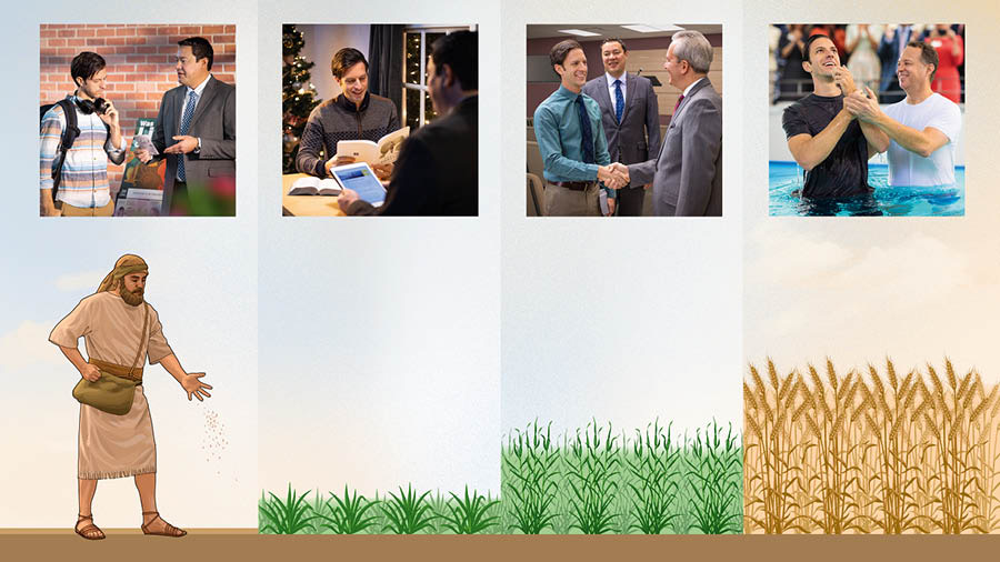 Collage: Die geleidelike groei van ’n plant word vergelyk met die vordering van ’n Bybelstudent. 1. ’n Boer strooi saad; ’n man luister na ’n broer wat langs ’n lektuurtrollie preek. 2. Die plante begin groei; die man studeer die Bybel, maar hy het nog ’n Kersboom by sy huis. 3. Die plante hou aan groei; die man groet ’n broer by ’n gemeentelike vergadering. 4. Die plante dra vrug; die man word gedoop.