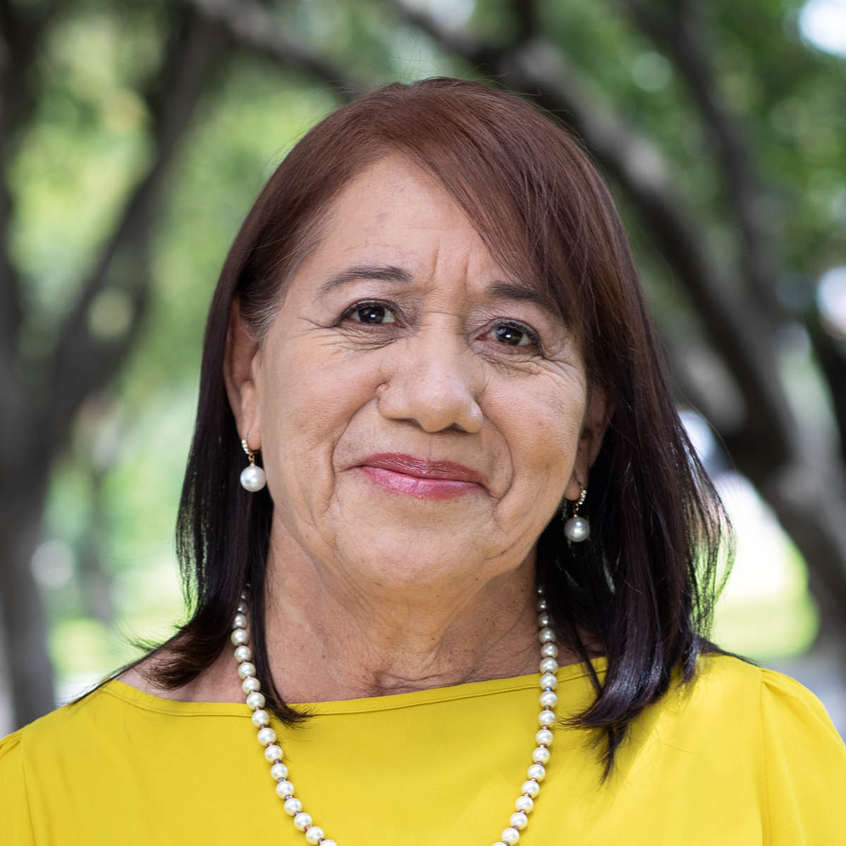 ኮንሴፕሲዮን።