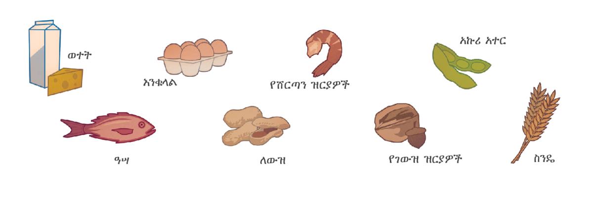 ወተት፣ እንቁላል፣ ሸርጣን፣ አኩሪ አተር፣ ዓሣ፣ ለውዝ፣ ገውዝ እና ስንዴ
