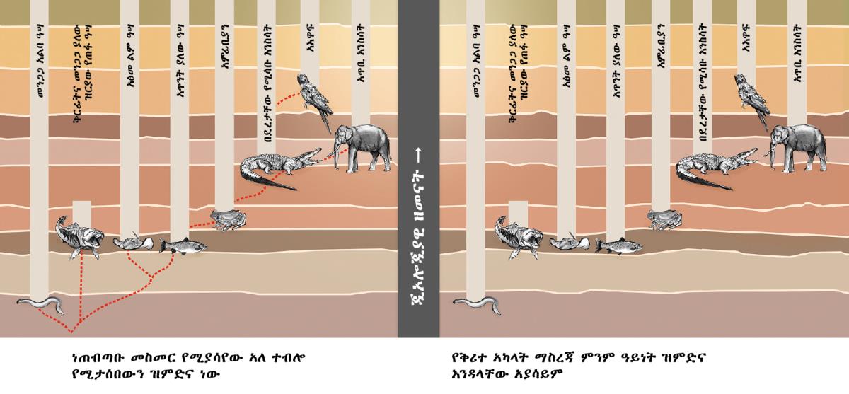 የተለያዩ የእንስሳ ዓይነቶችንና በመካከላቸው አለ ተብሎ የሚታሰበውን ዝምድና የሚያሳይ ሰንጠረዥ