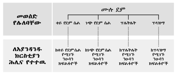 በገጽ 216 ላይ የሚገኝ ሠንጠረዥ
