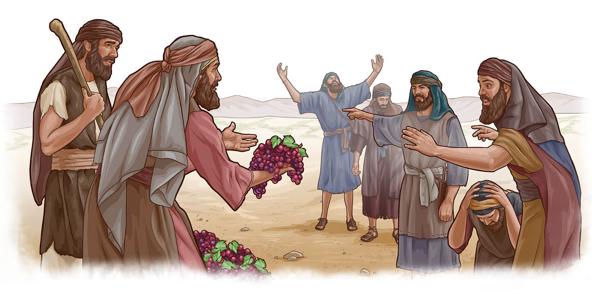 ኢያሱና ካሌብ ትልቁን የወይን ዘለላ ለሌሎቹ ሰላዮች ሲያሳዩአቸው።