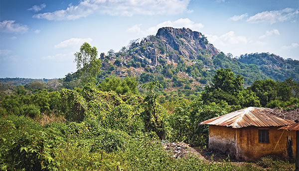 [በገጽ 23 ላይ የሚገኝ ሥዕል]