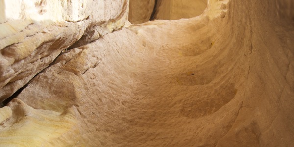 [በገጽ 12 ላይ የሚገኝ ሥዕል]