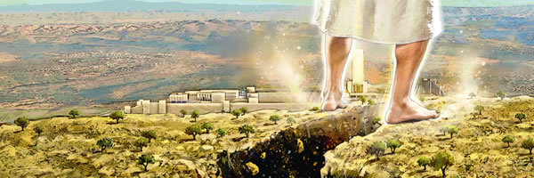 [በገጽ 17 ላይ የሚገኝ ሥዕል]