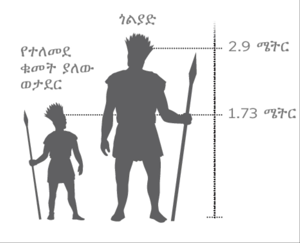 ግዙፉ ጎልያድ የተለመደ ቁመት ካለው ወታደር ጋር ሲነጻጸር የሚያሳይ ምስል