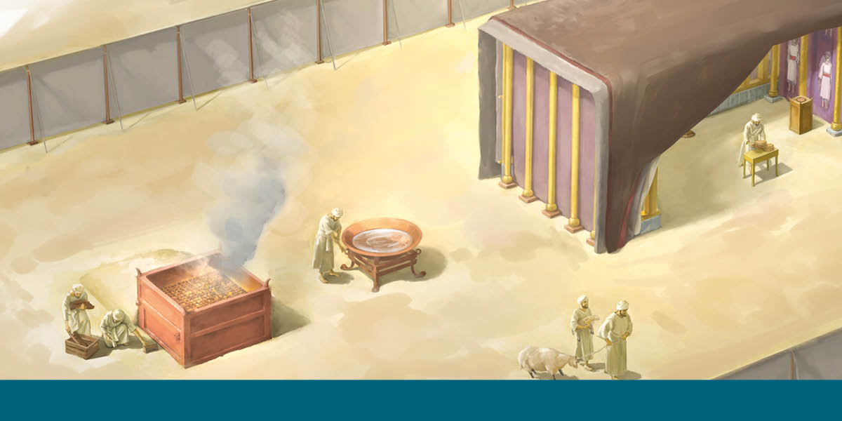 Ebi ngwugwa ekisi ikwaan̄ enyibe ema me agba lek okwa igwọk-lek mè ntook ngwugwa ewọwọp iriọk me emen oyet egep atanga chinichini. Ogwu ngwugwa ge ikeke me agba lek ikasi esabe itoon̄ fituru isi Awaji me Ere Mbuban.