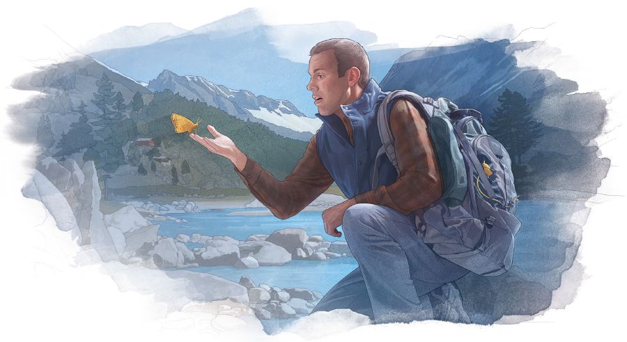 رجل ينظر عن قرب الی فراشة