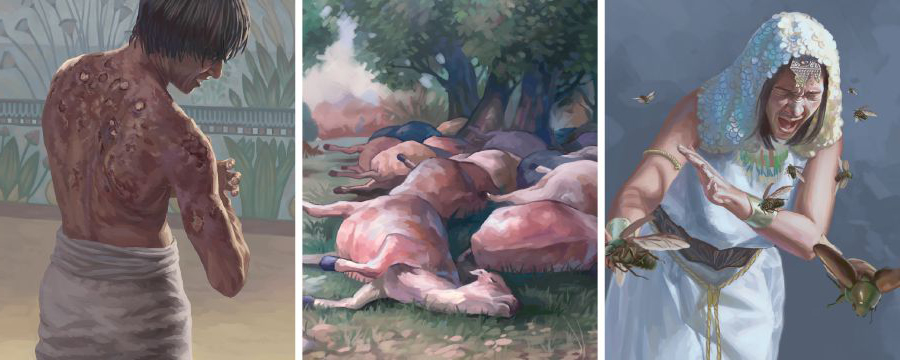 الضربات ٤ إلى ٦ على مصر:‏ الذباب،‏ موت الحيوانات،‏ حبوب ملتهبة