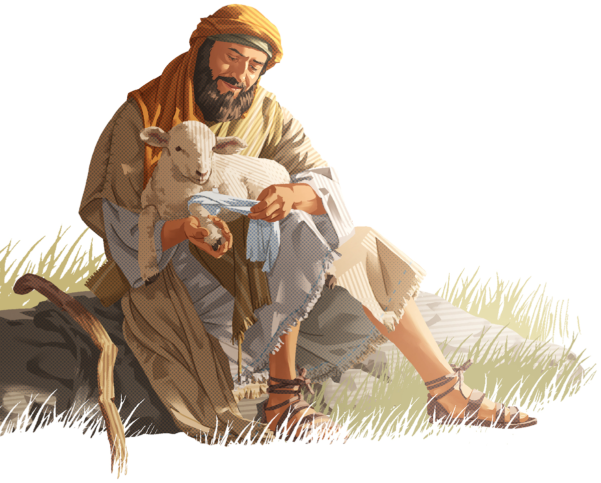 راعٍ يلف برقة جرح خروف