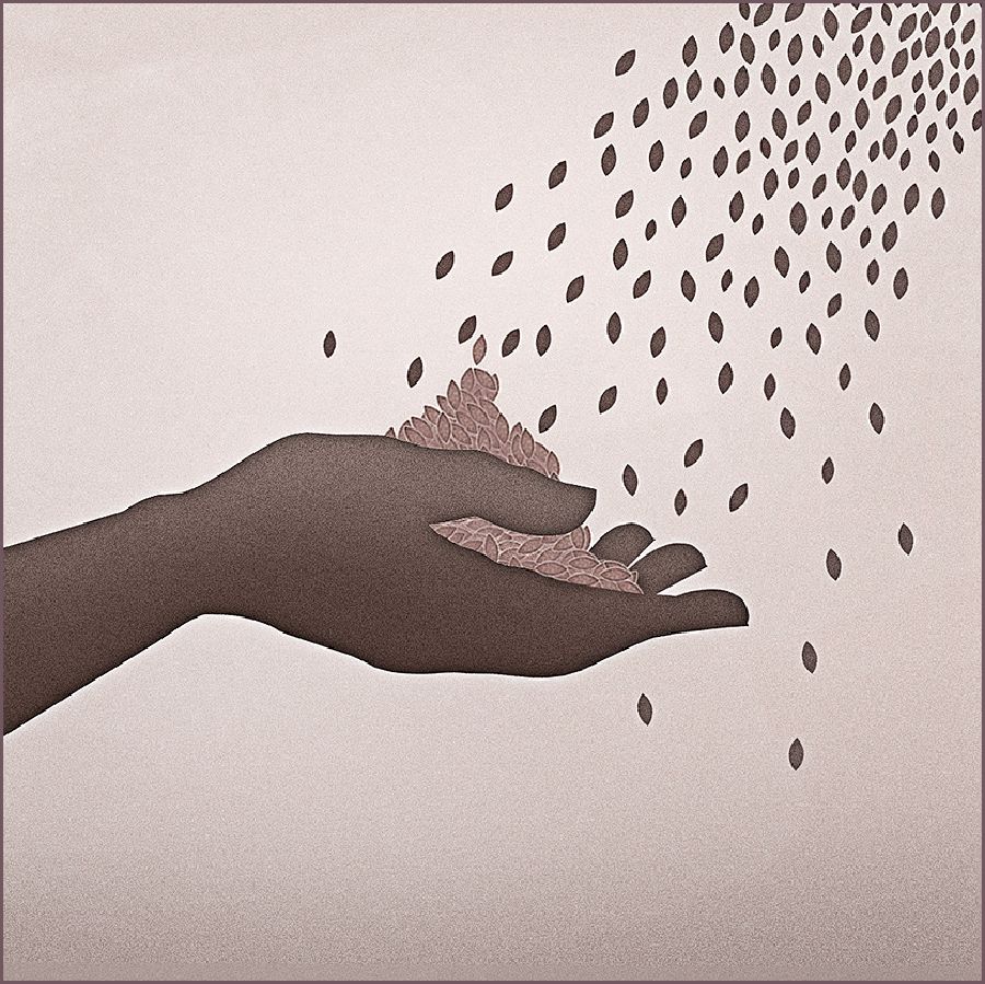 وفرة من الطعام للجميع