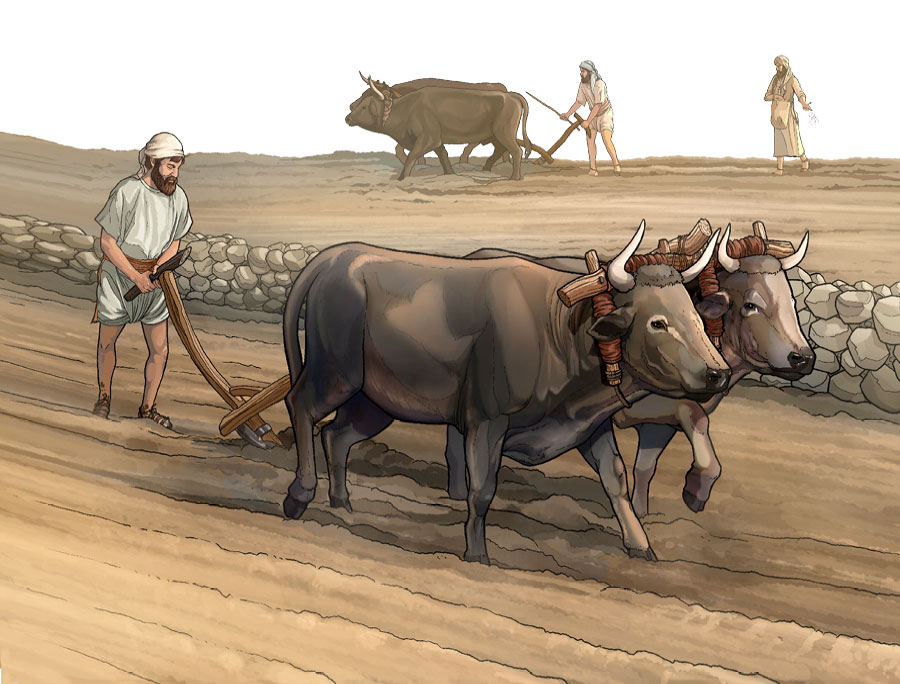 فلاح يركِّز علی ما هو امامه ولا يتلهی بالنظر الی الوراء