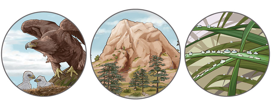 تشابيه موجودة في التثنية الفصل ٣٢:‏ ١-‏ ندی علی العشب.‏ ٢-‏ صخرة كبيرة ثابتة.‏ ٣-‏ نسر يحمي اثنين من صغاره