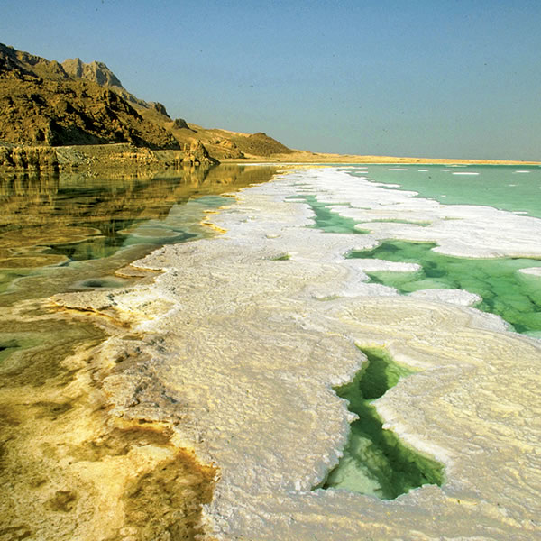 ‏[الصورة في الصفحة ٢١]‏