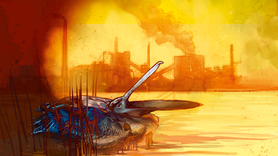 مصنع يلوِّث البيئة،‏ وطائر مغطى بالنفط
