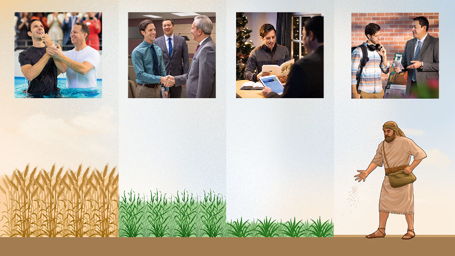 نمو النبتة التدريجي يشبه تقدُّم التلميذ الروحي:‏ ١-‏ فلاح يزرع البذار؛‏ اخ يبشر رجلا بجانب عربة مطبوعات.‏ ٢-‏ الزرع ينبت؛‏ الرجل يدرس الكتاب المقدس لكنه لا يزال يحتفل بعيد الميلاد.‏ ٣-‏ الزرع ينمو اكثر؛‏ الرجل يحضر اجتماعا ويسلِّم على اخ.‏ ٤-‏ الزرع يثمر؛‏ الرجل يعتمد