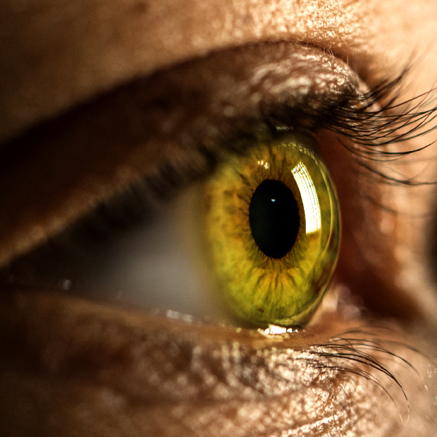 عين الانسان