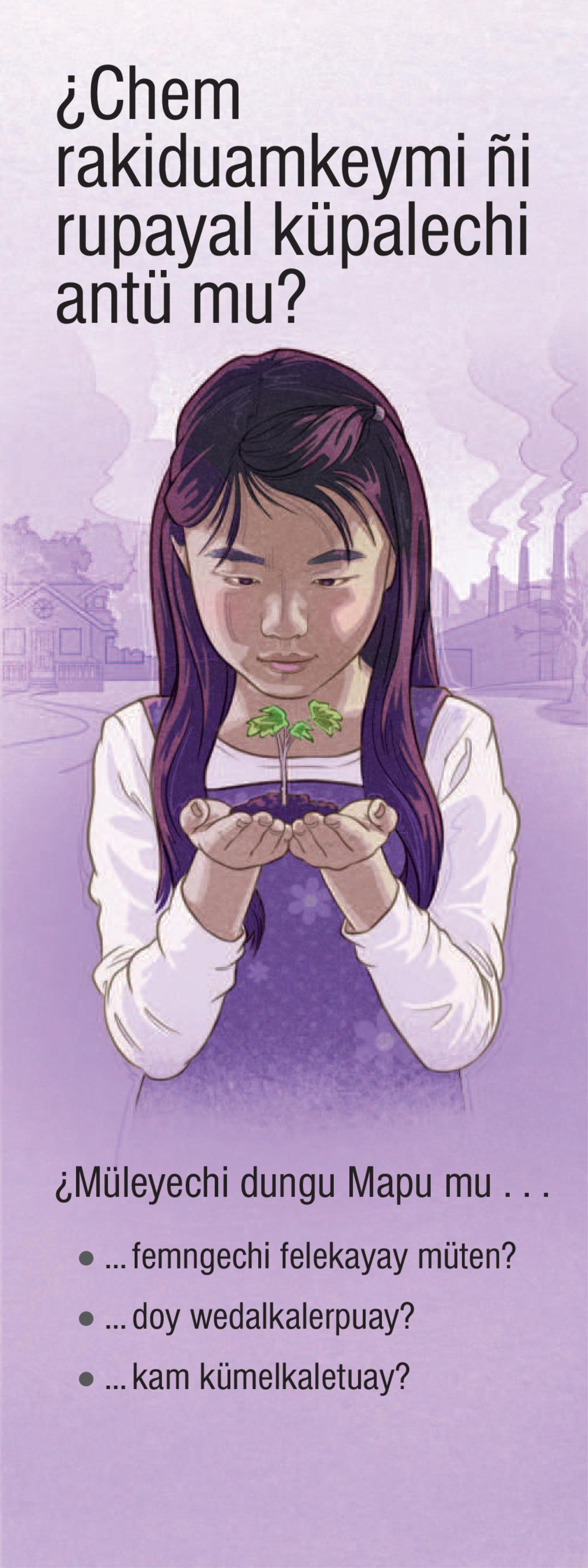 ¿Chem rakiduamkeymi ñi rupayal küpalechi antü mu?