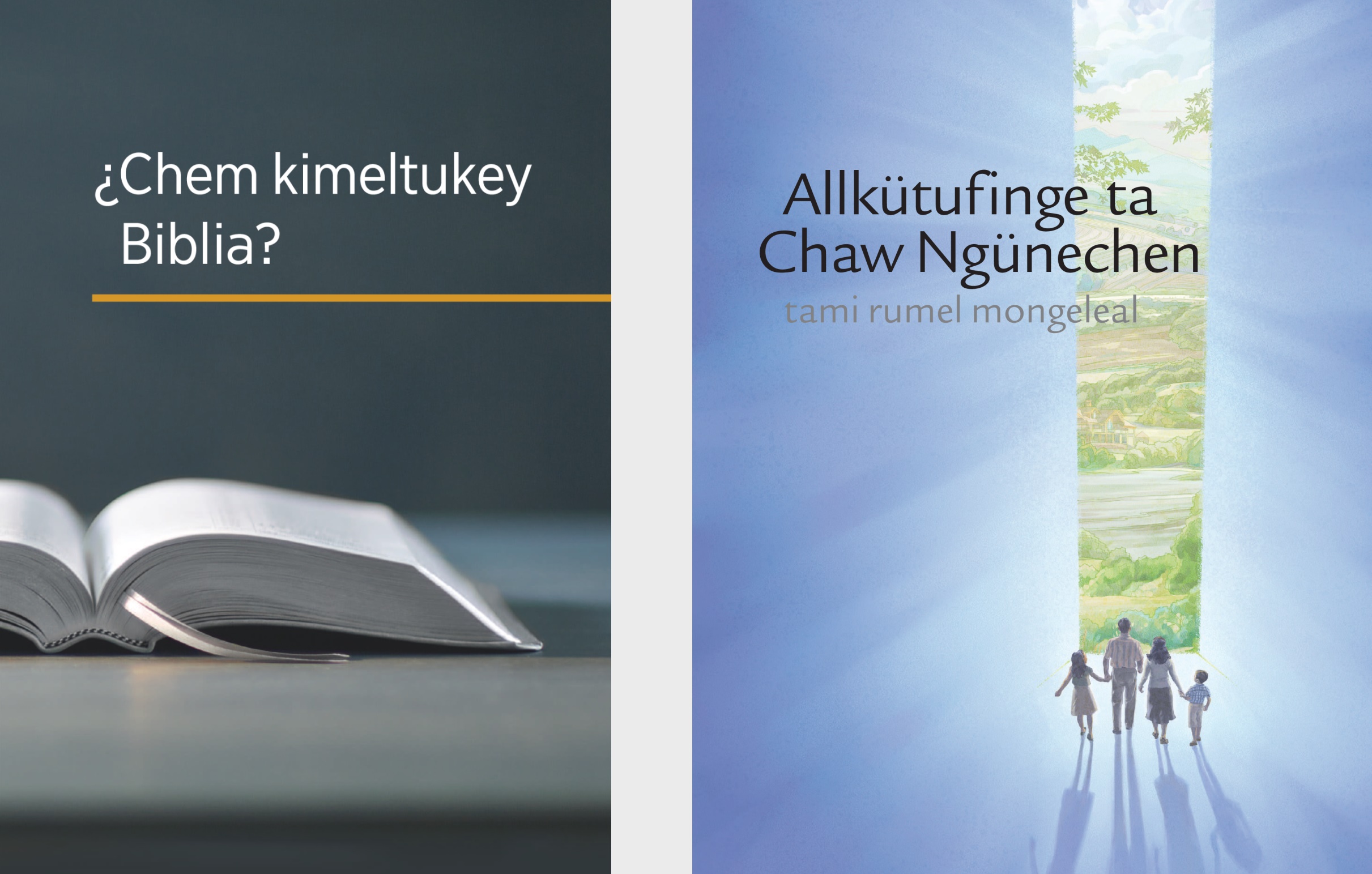 Tati lifru “¿Chem kimeltukey Biblia?” ka tati papel “Allkütufinge ta Chaw Ngünechen tami rumel mongeleal”.
