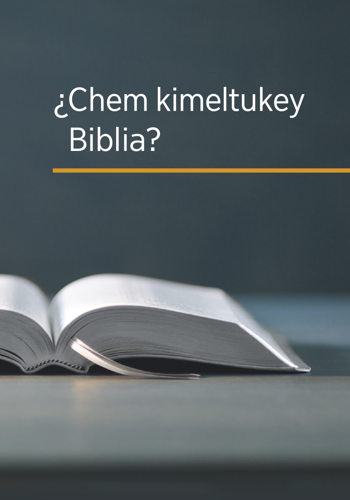Ti lifru “¿Chem kimeltukey Biblia?”