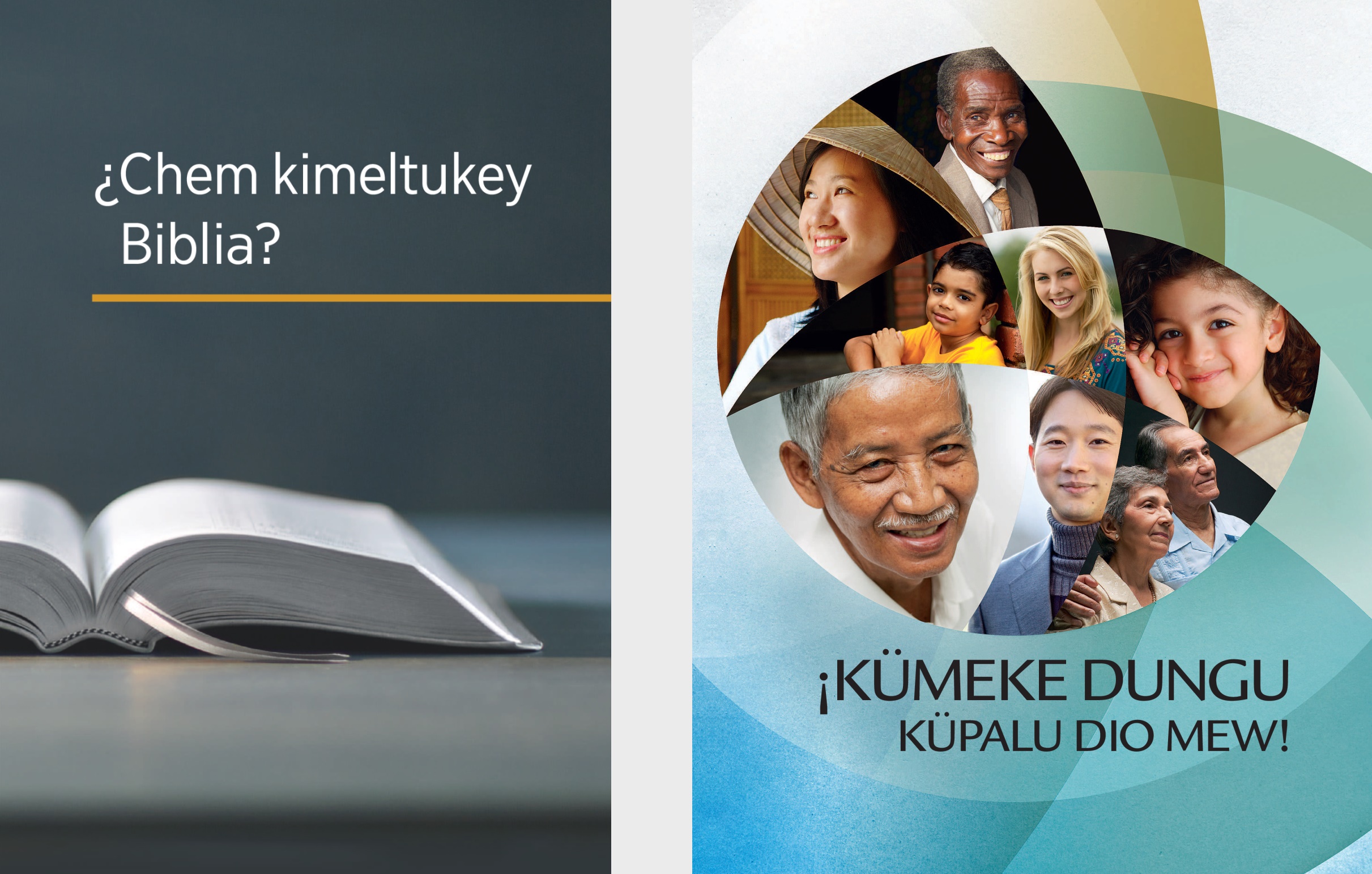 Tati lifru “¿Chem kimeltukey Biblia?” ka tati papel “¡Kümeke dungu küpalu Dio mew!”.