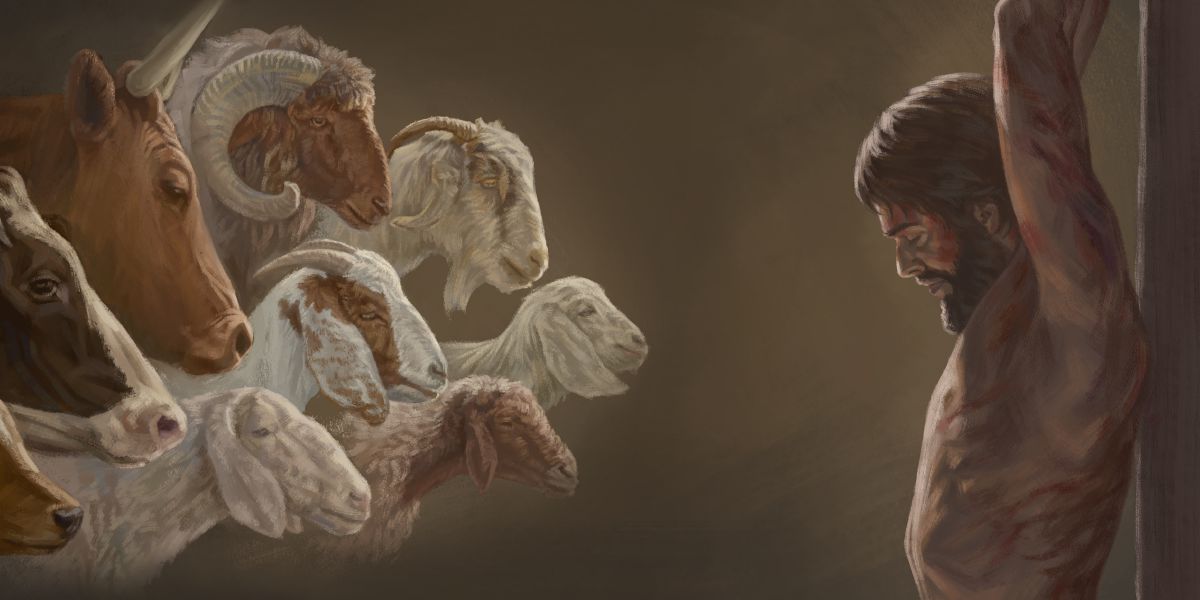 Serie de imágenes: 1. Animales para los sacrificios hechos en el templo de la visión. 2. Jesús clavado al madero de tormento.