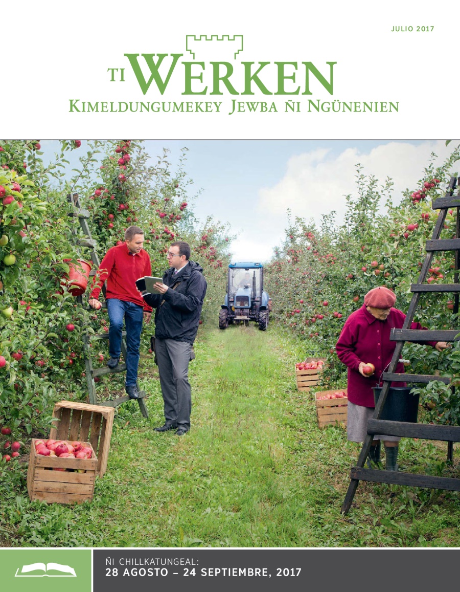 Ti Werken (ñi chillkatungeal), julio 2017