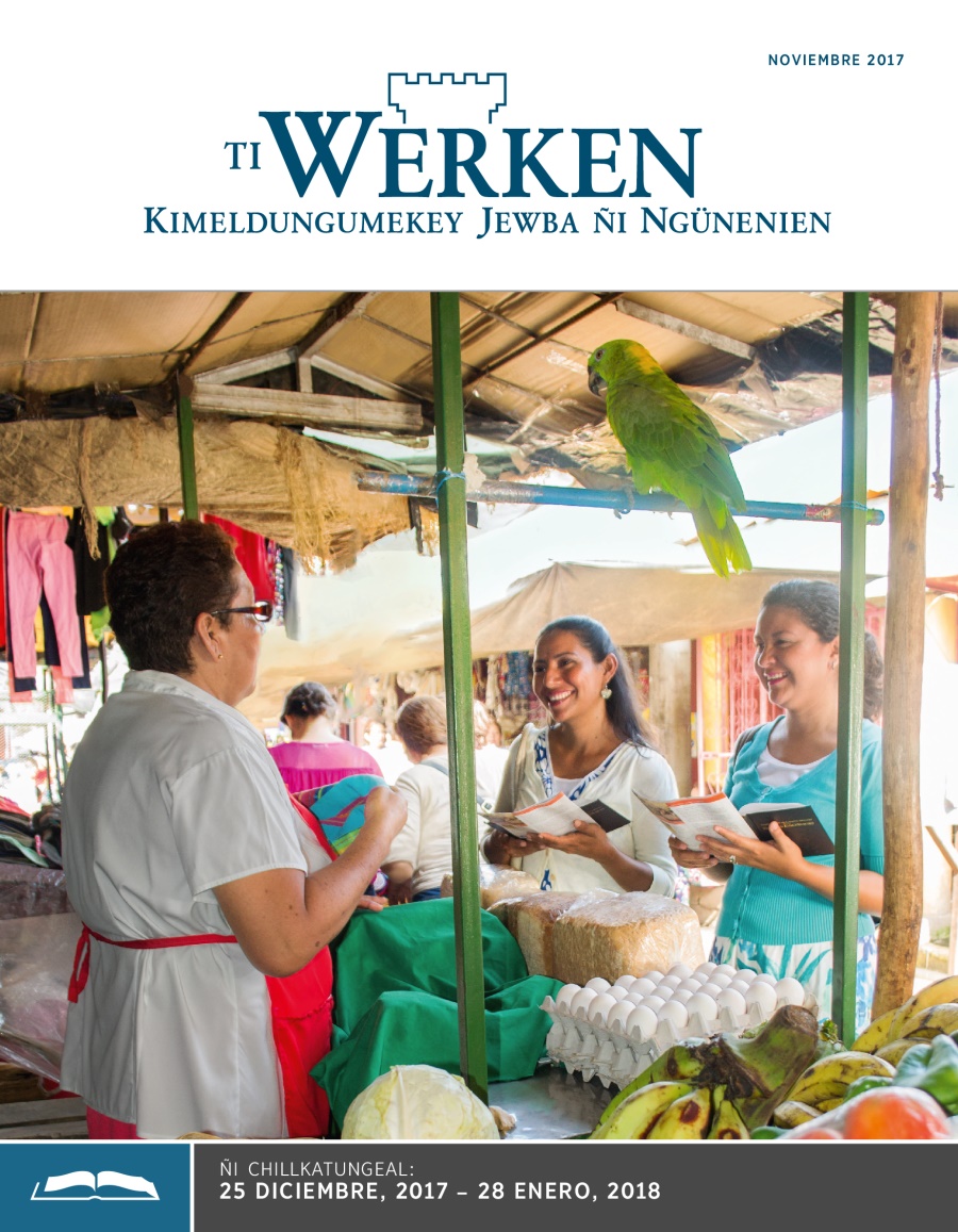 Ti Werken (ñi chillkatungeal), noviembre 2017