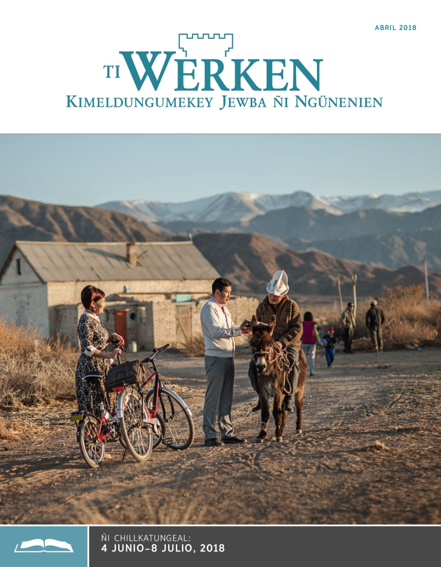 Ti Werken (ñi chillkatungeal), abril 2018