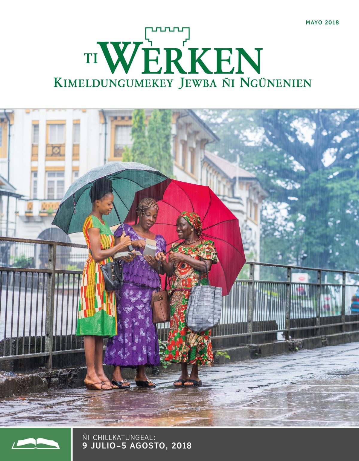 Ti Werken (ñi chillkatungeal), mayo 2018