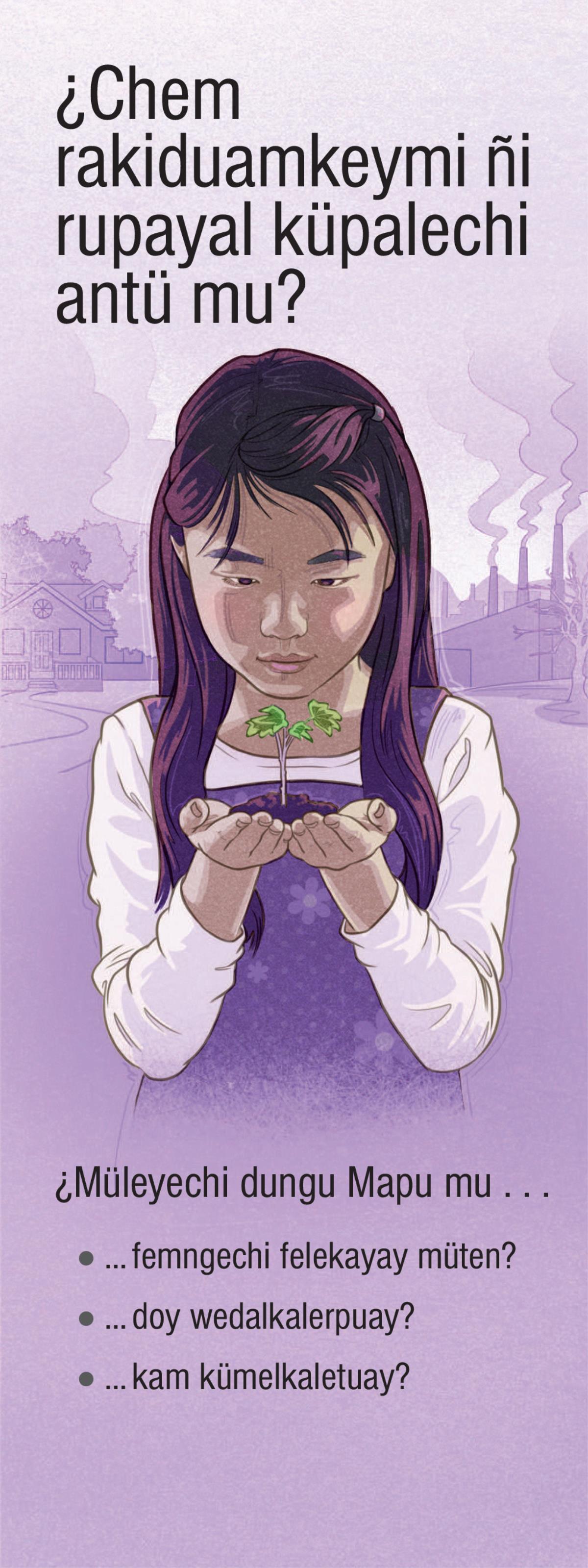 ¿Chem rakiduamkeymi ñi rupayal küpalechi antü mu?