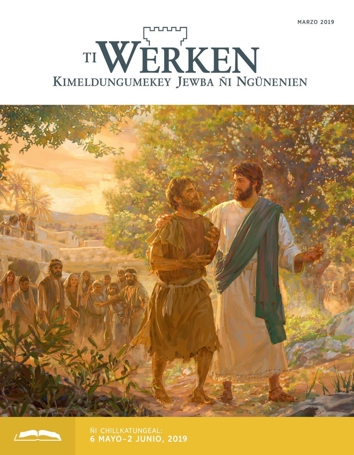 Ti Werken (ñi chillkatungeal), marzo 2019