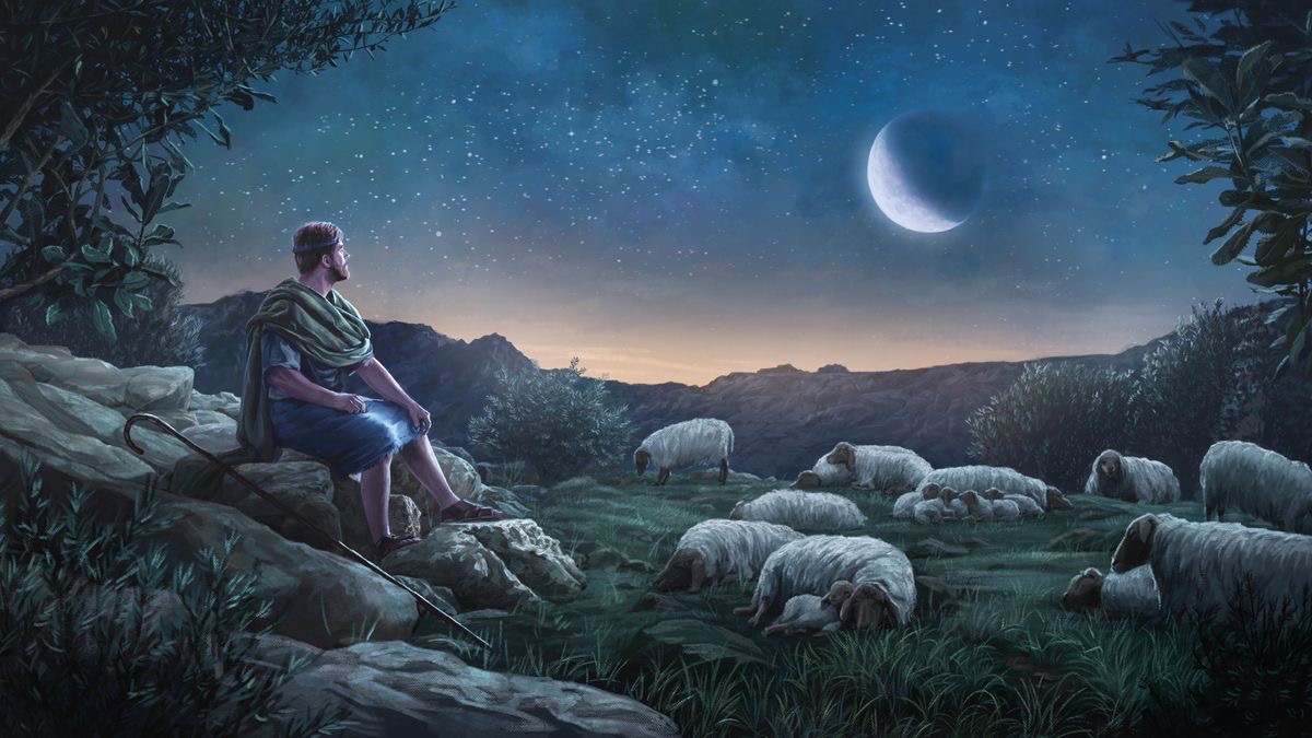 David contemple le ciel étoilé tout en gardant un troupeau de moutons.