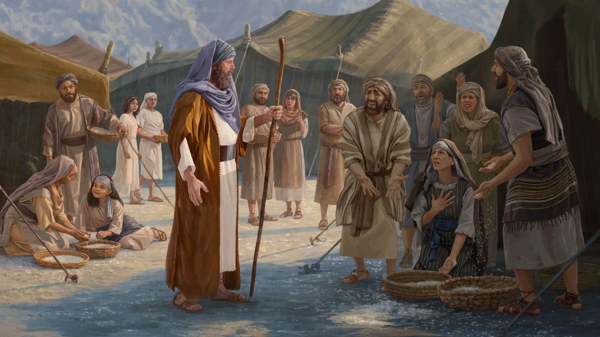 Des Israélites en train de ramasser de la manne se plaignent à Moïse de cette nourriture. D’autres Israélites se tenant à proximité observent la scène tout en continuant de ramasser de la manne.