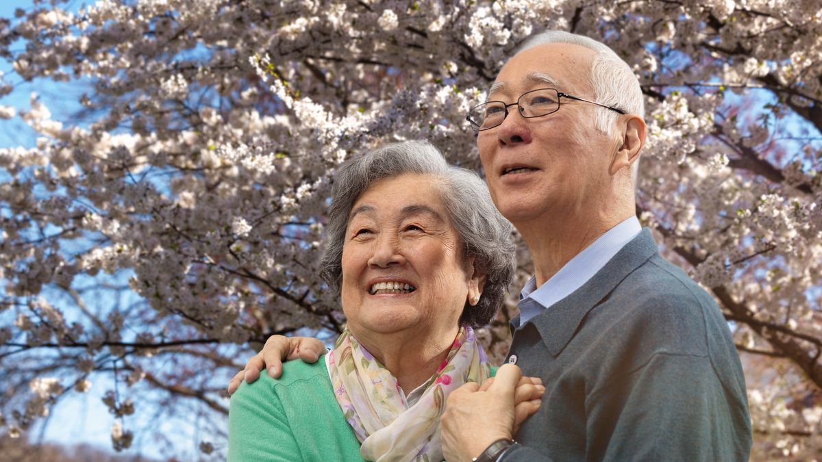 Le couple de l’illustration précédente se trouve sous un cerisier du Japon en fleurs ; ils sont l’un tout contre l’autre et ils sourient.