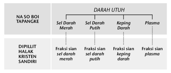Gombar di halaman 216