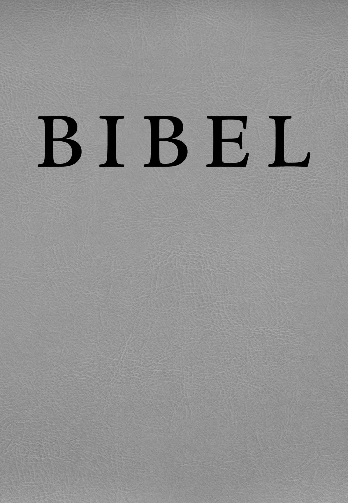 Sampul ni Bibel Hata ni Debata tu Akka Jolma na Naeng Mangolu di Tano na Imbaru