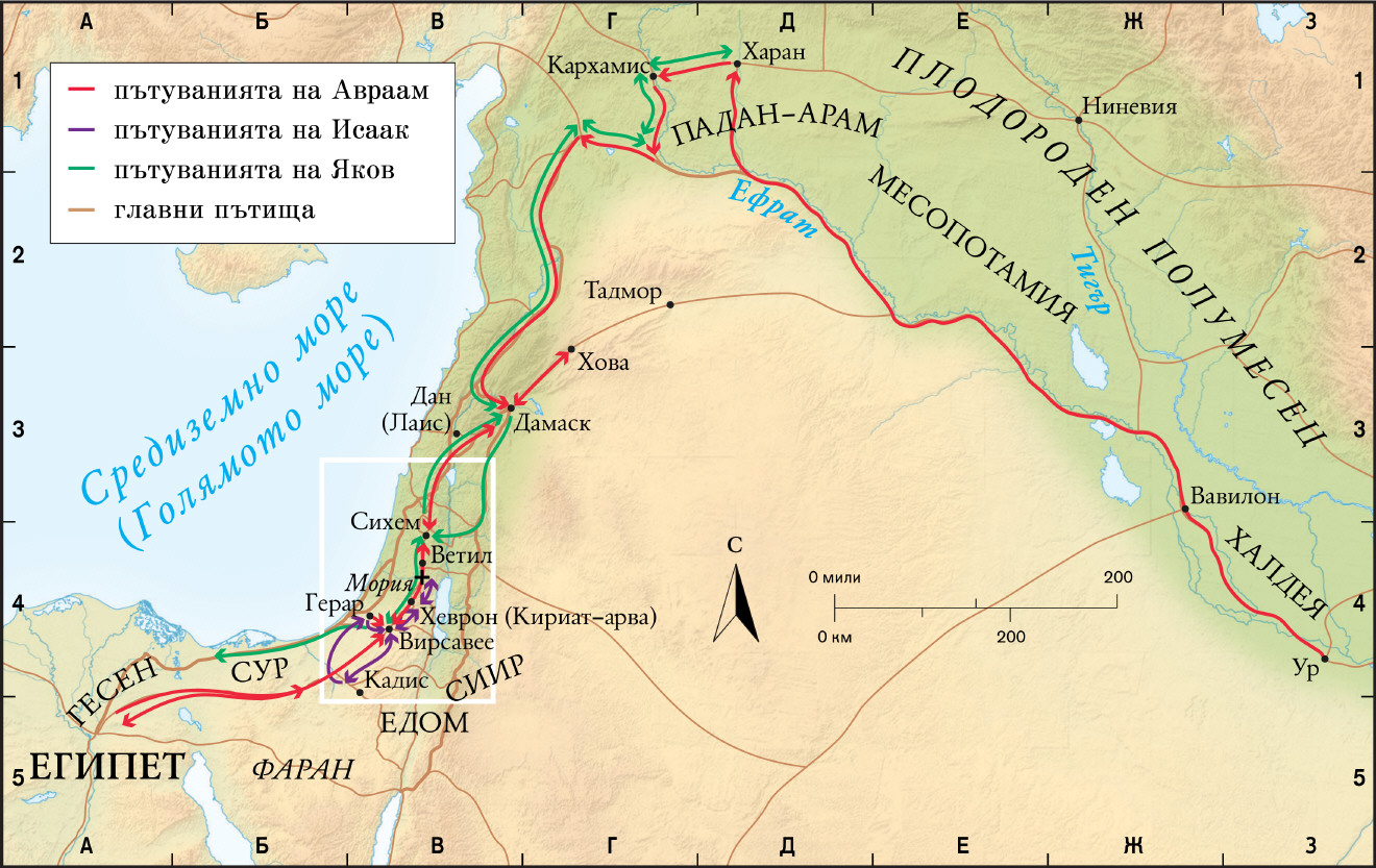 Патриарсите (общ поглед)