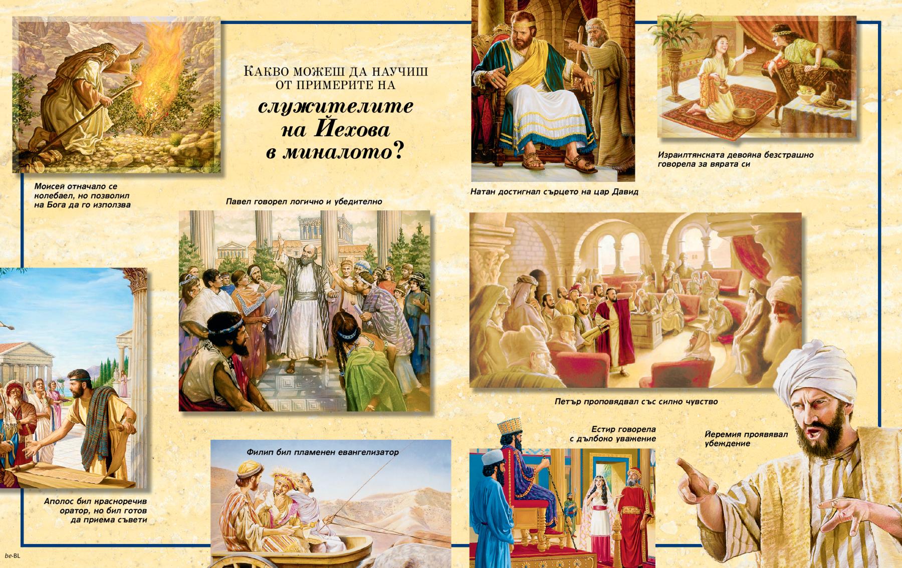 Снимки на вътрешната предна корица