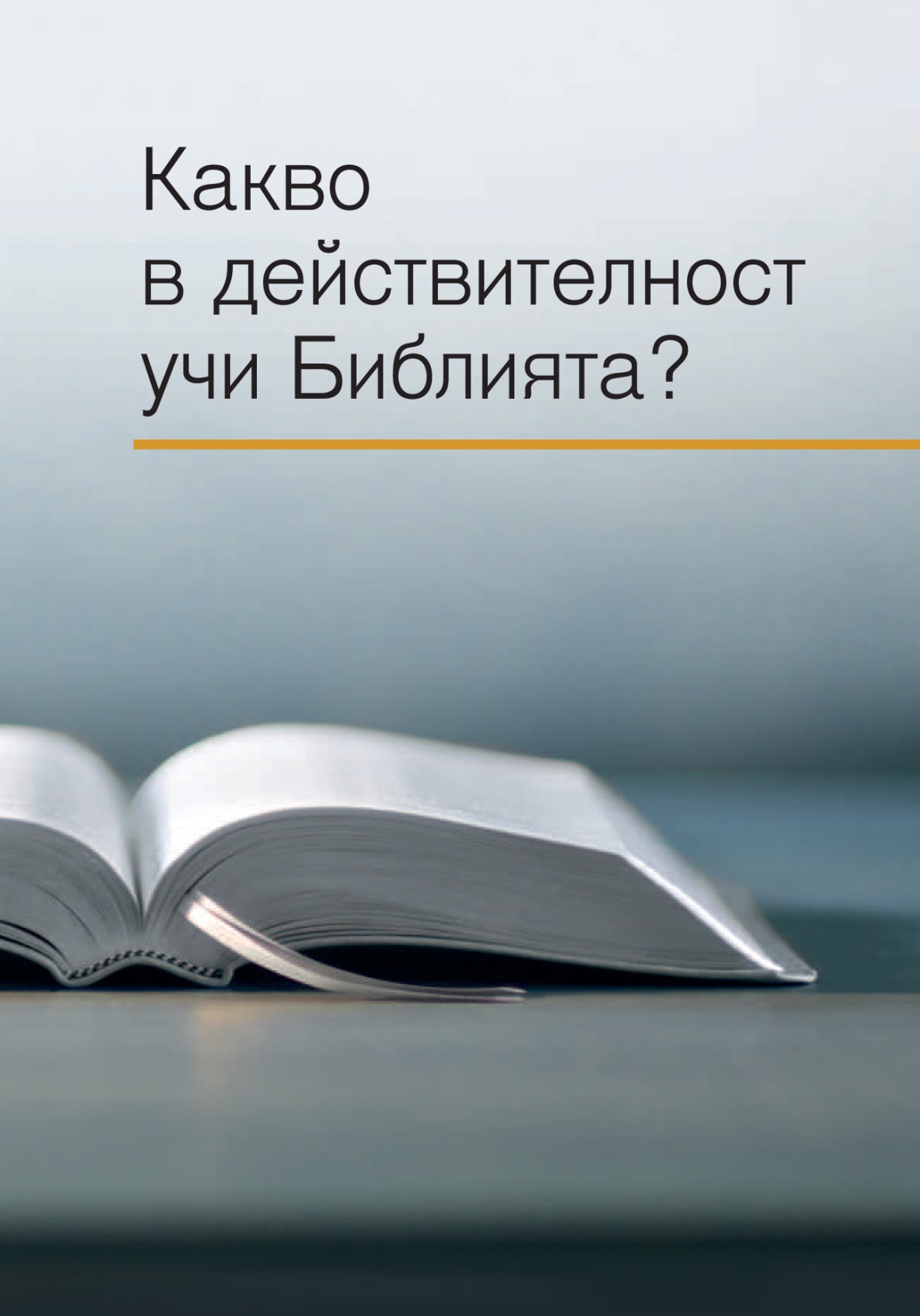 Книгата „Какво в действителност учи Библията?