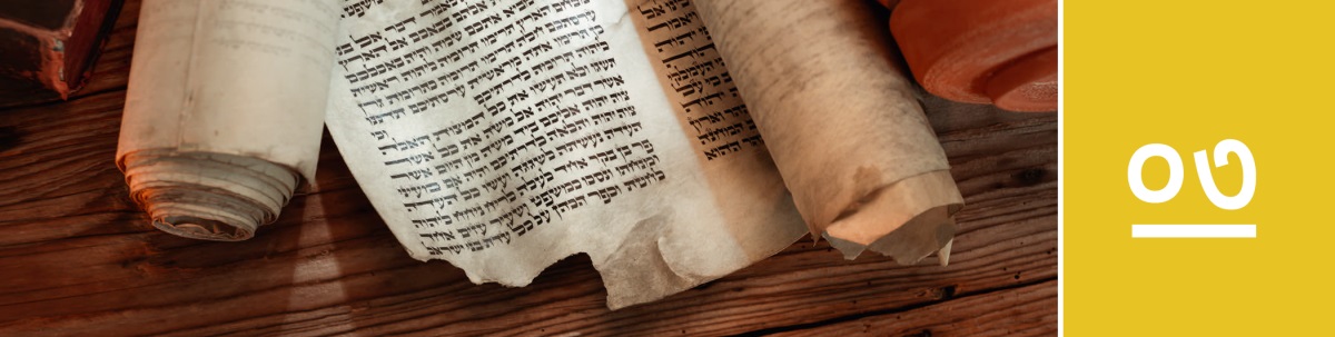 পাঠ ৩। বাইবেলের প্রাচীন পাণ্ডুলিপি একটা টেবিলের উপর রাখা আছে।