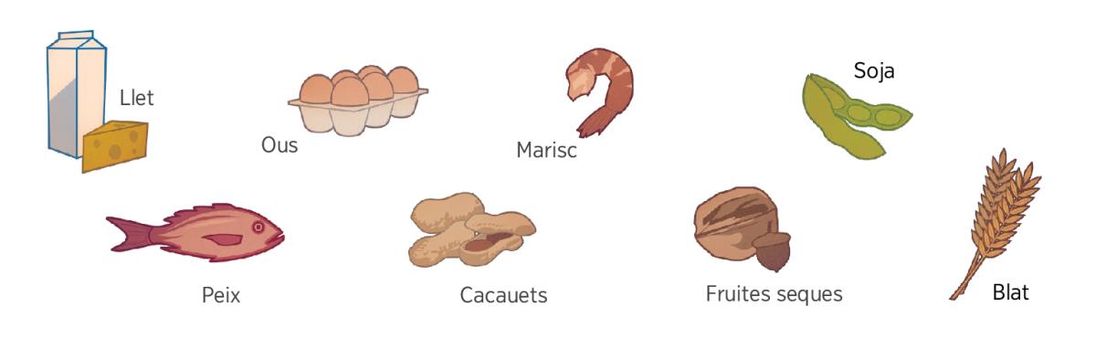 Llet, ous, marisc, soja, peix, cacauets, fruites seques i blat