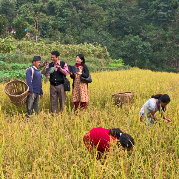 Testimonis de Jehovà predicant al Nepal