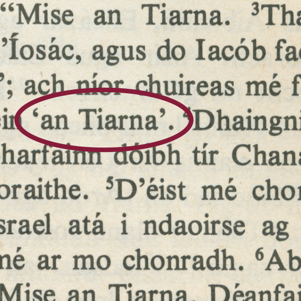 Èxode 6:3 en la Maynooth Bible